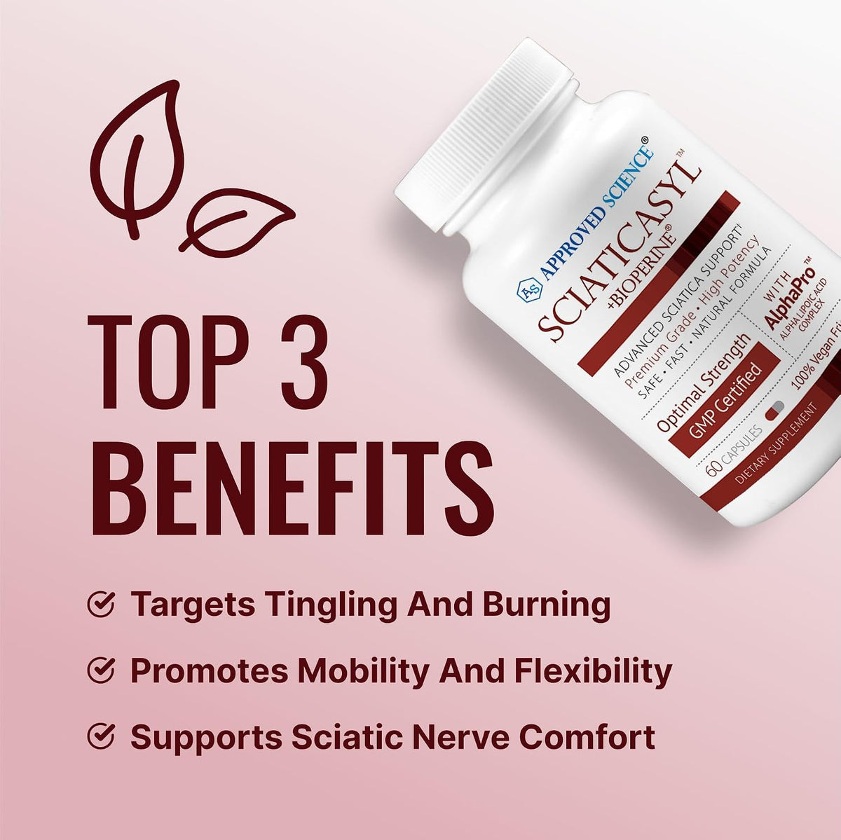 Approved Science Sciaticasyl - Optimum Sciatic Nerve Support - B Vitamins, Magnesium, Alpha-Lipoic Acid, BioPerine - Vegan - 360 Capsules - görsel 2