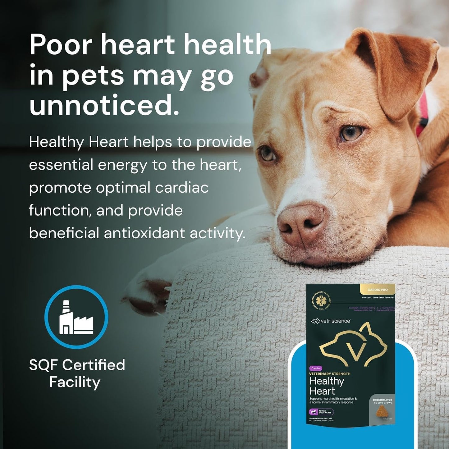 VETRISCIENCE Veterinary Strength Healthy Heart Chews – Heart & Energy Supplement for Pets – Cardiovascular Support – Chicken Flavour – 60 Count - görsel 7