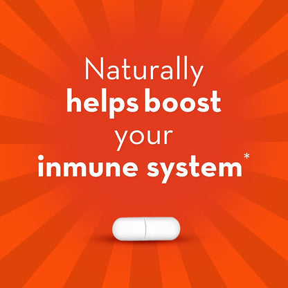 Align Gut Health & Immunity Probiotic, Daily Digestive Support for Men and Women, 14 Capsules