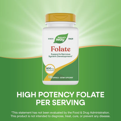 Nature's Way Folic Acid, 800 mcg DFE per serving, 100 Capsules