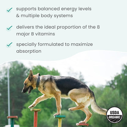 Bark & Whiskers Organic Vitamin B Complex - B Vitamins for Normal Energy & Nervous System Function in Cats & Dogs - Certified Organic - 24 g