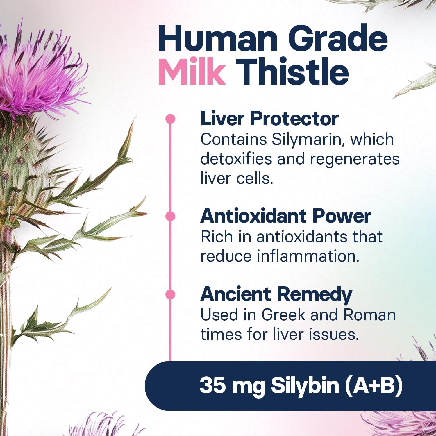 Liver Health Supplement for Large Dogs – Milk Thistle for Dogs Liver Support with S-Adenosylmethionine (SAMe) & Silybin – 30 Tablets - görsel 4