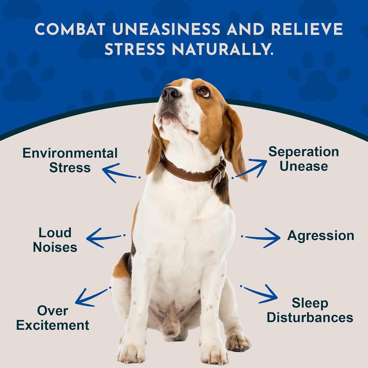 Tranquillity Blend - Organic Valerian Root Calming Drops for Dogs & Cats - görsel 2