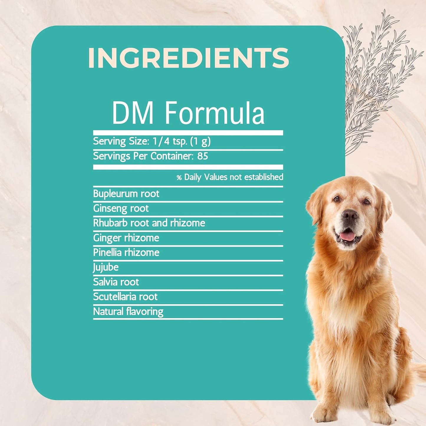 DM Formula Degenerative Myelopathy Relief for Dogs - All Natural Granular Herbal Extract, 85g Powder - görsel 3