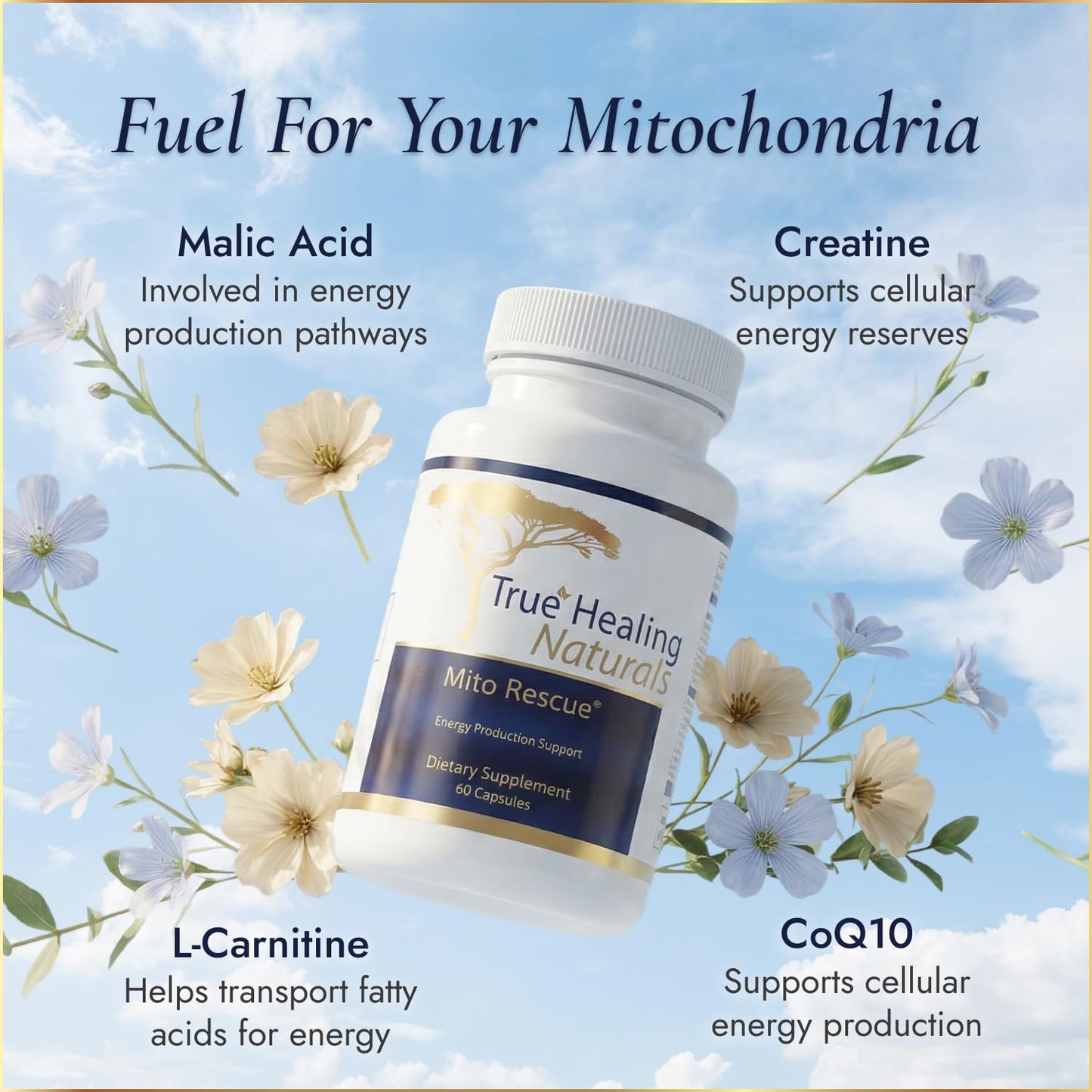 True Healing Naturals Mito Rescue – Mitochondrial Support Food Supplement, 60 Vegetarian Capsules - görsel 3