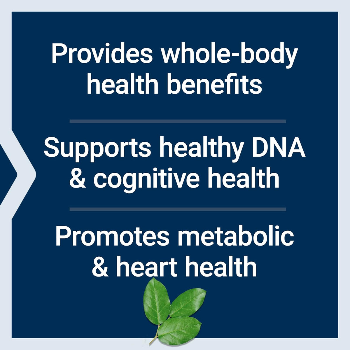 Life Extension Mix Tablets, High-Potency Multivitamin & Mineral with Fruit and Vegetable Extracts - görsel 9