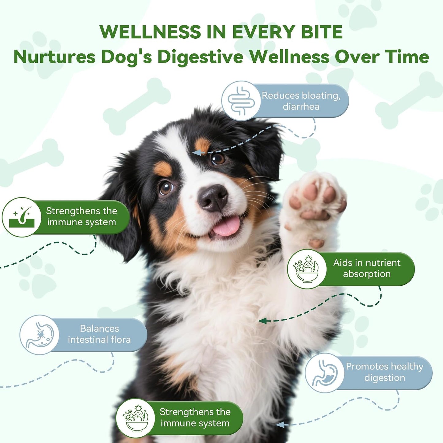 Woooha Probiotics for Dogs – 6 Billion CFU Prebiotics & Digestive Enzymes, 100 Chews - görsel 2