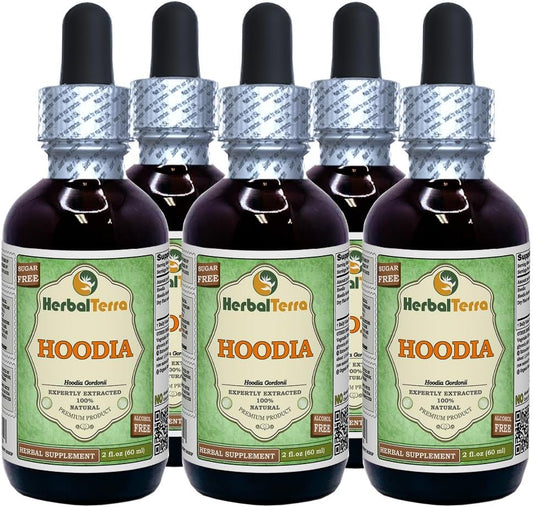 Hoodia (Hoodia Gordonii) Glycerite, Dried Plant Alcohol-Free Liquid Extract, 5x60ml