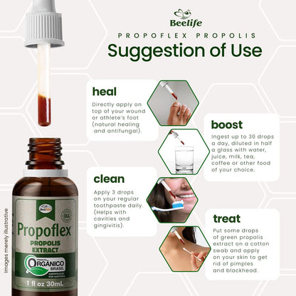 Beelife Propoflex Organic Green Propolis Extract - High in Artepillin-C, Rich in Antioxidants, 1 Fl Oz (28 ml)