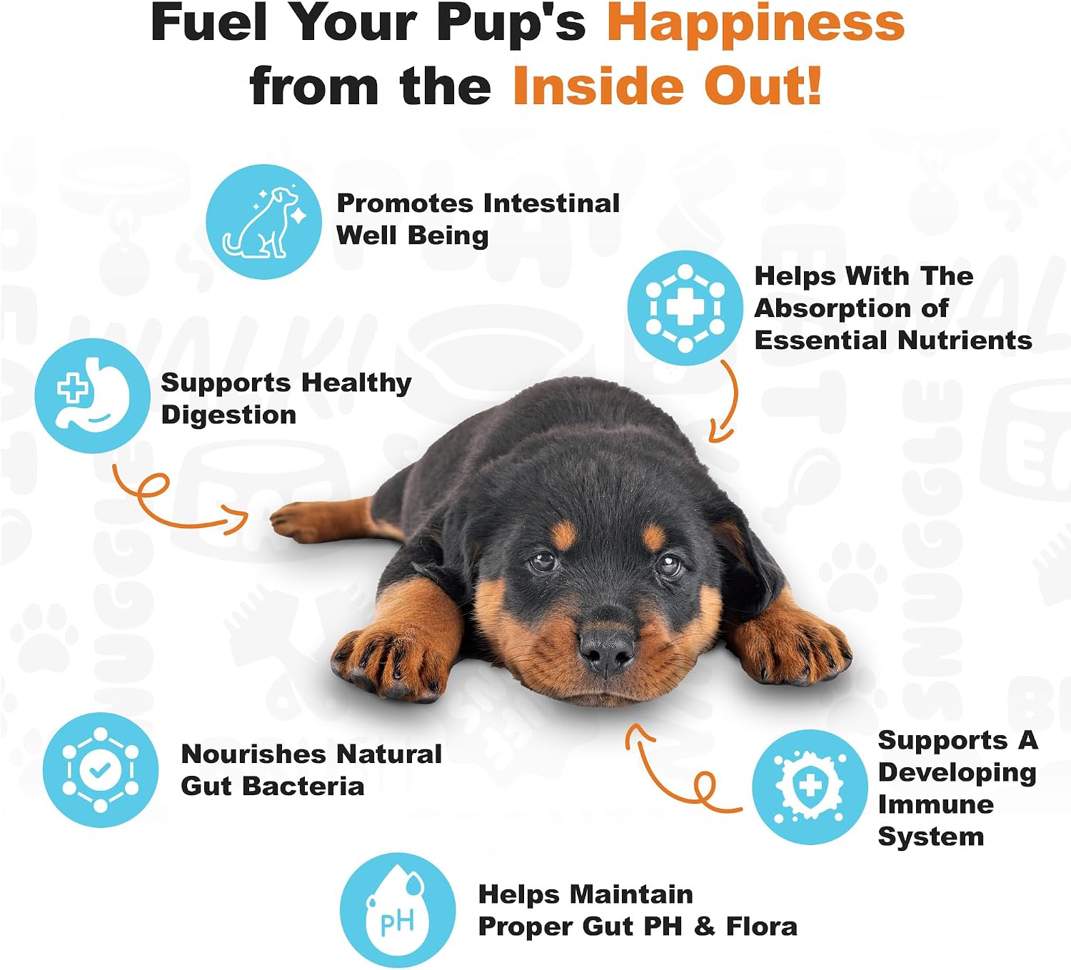 Doggie Dailies Puppy Probiotic with Digestive Enzymes – Pumpkin Flavour, 120 Soft Chews - görsel 3