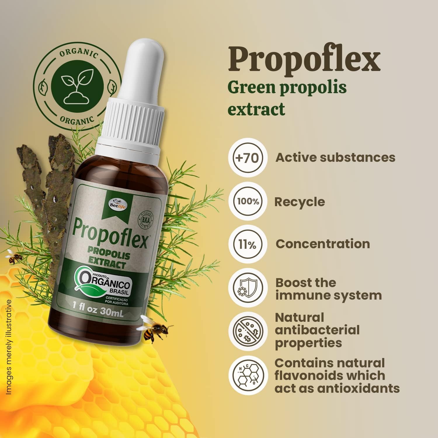Beelife Propoflex Organic Green Propolis Extract - High in Artepillin-C, Rich in Antioxidants, 1 Fl Oz (28 ml) - görsel 2