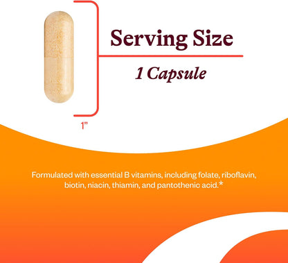 Seeking Health B Complex Plus – Vitamin B Supplement with Choline and Riboflavin – 100 Capsules