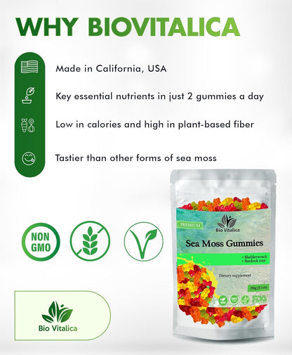 BIO VITALICA Sea Moss Gummies - Irish Sea Moss, Bladderwrack, Burdock Root (1 Pack)
