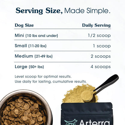 Senior Dog Powder Supplement & Food Topper – 63 Ingredient Multivitamin with Glucosamine, Probiotics, Fish Oil (60 Scoops)