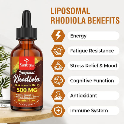 500 mg Liposomal Active Rhodiola Rosea Supplement – Liquid for High Absorption, Vegan, Sugar & Gluten-Free, 60 ml