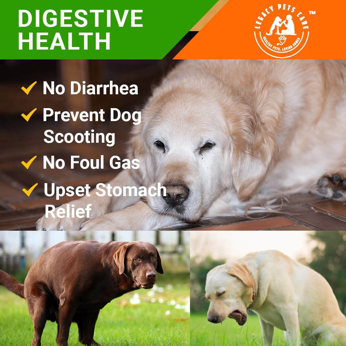 Probiotics for Dogs Soft Chews, 120 Chews – Complete Gut Care for Digestive & Immune Support | Probiotics for Digestive Health | Pet Probiotics 255 g Jar - Probiotic for Dogs - görsel 3
