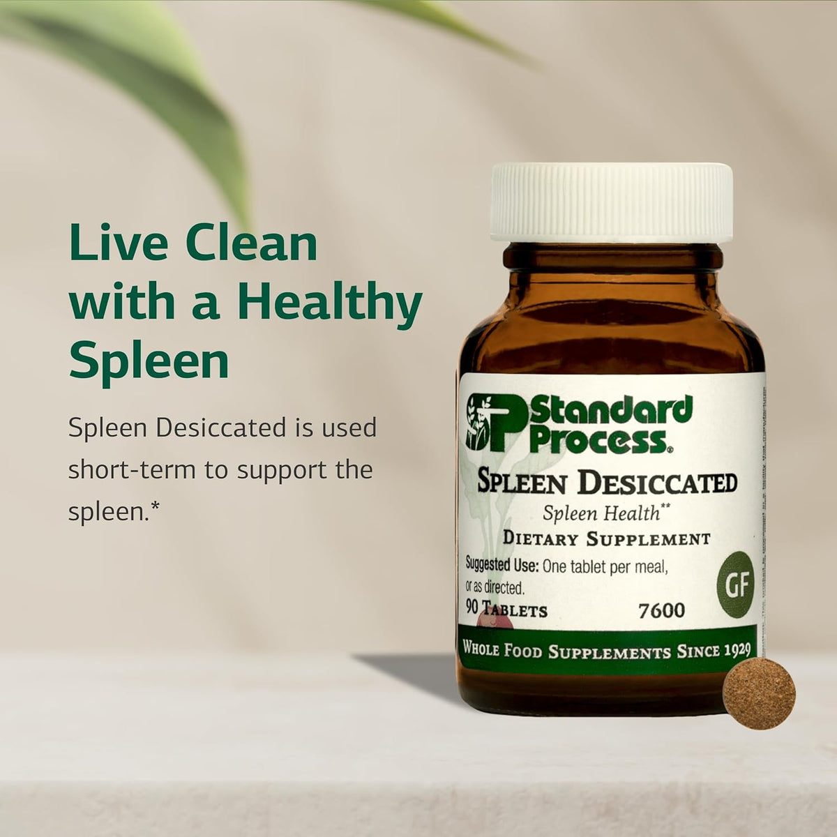 Standard Process Spleen Desiccated – 90 Tablets - görsel 3