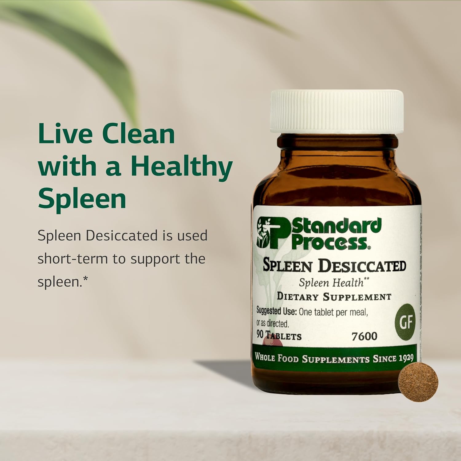 Standard Process Spleen Desiccated – 90 Tablets - görsel 3
