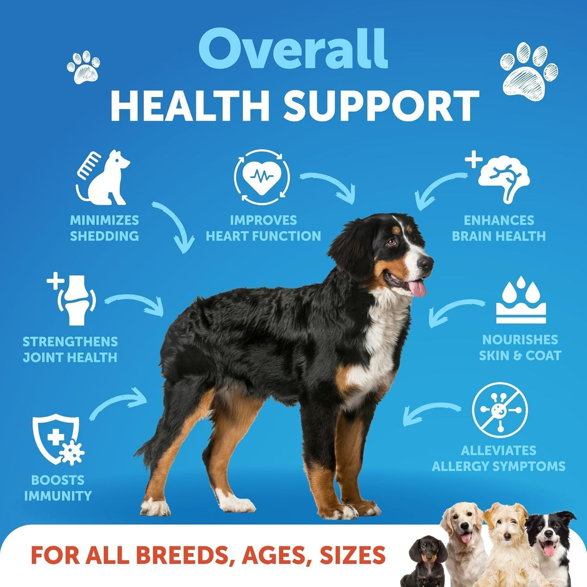 Omega 3 Fish Oil for Dogs – Wild Caught Pollock & Salmon Oil - görsel 2