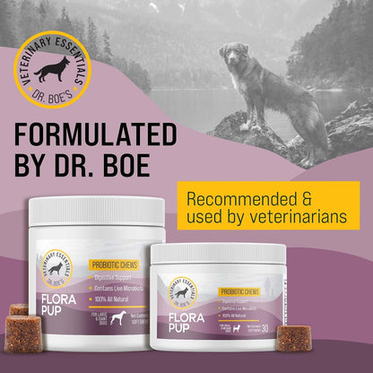 FloraPup Probiotic & Digestive Support for Dogs – Promotes & Maintains Gut Health, Supports Normal Immune Function
