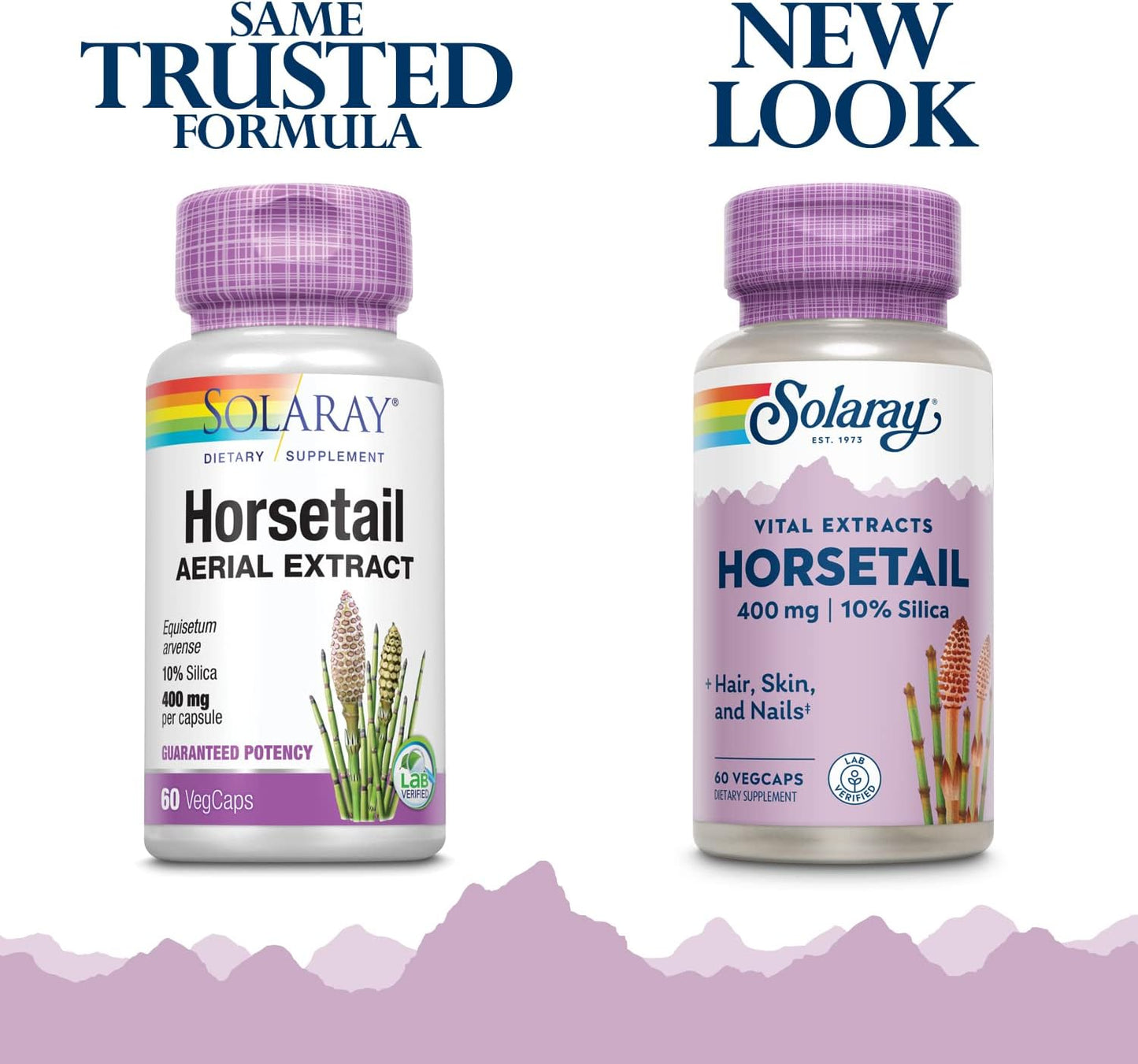 SOLARAY Standardised Potency Horsetail Aerial Extract, 400mg, 60 Vegan Capsules - görsel 2
