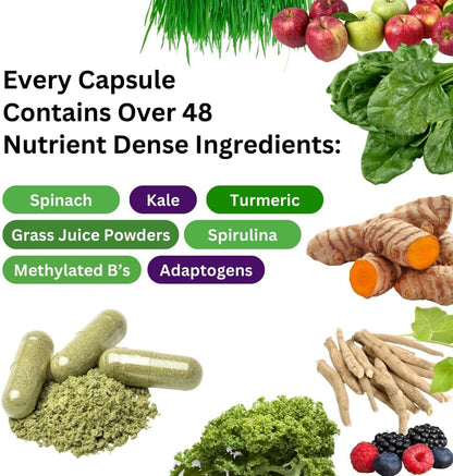 Paradise Herbs Earth's Blend Once Daily Multivitamin, No Iron, 48 Organic Superfoods, Probiotics, Antioxidants, Vitamins A, B12, C, D, K2, 120 Capsules
