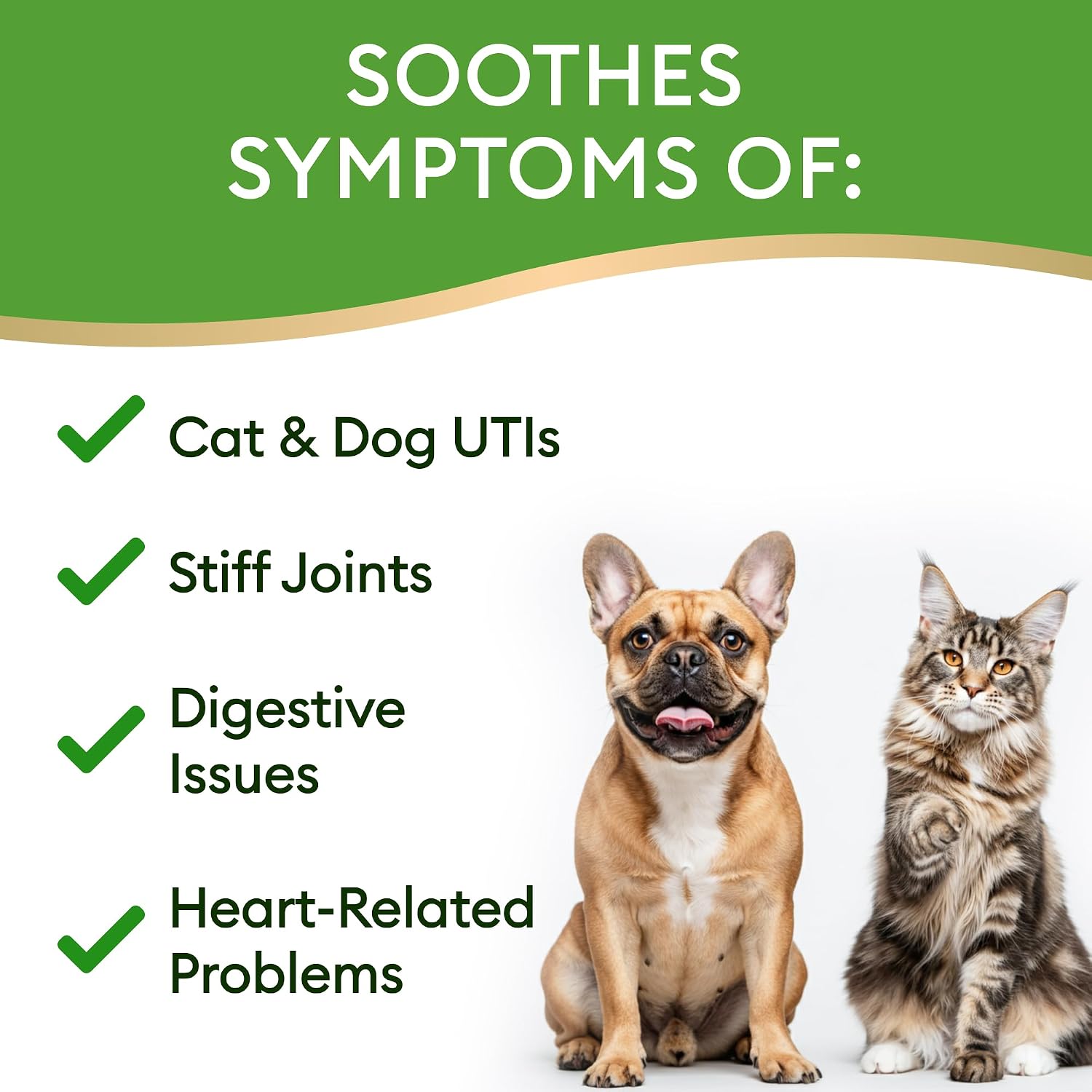 15-in-1 Liquid Multivitamin for Dogs and Cats - Glucosamine for Dogs, Cranberry, Vitamin B Complex - Balanced Ingredients for Joint, Digestive, Immune, Skin and Coat and Urinary Tract Support - US Made - 2.0 fl oz (59 ml) - görsel 5