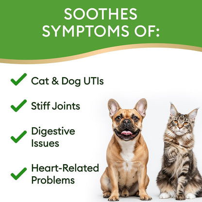 15-in-1 Liquid Multivitamin for Dogs and Cats - Glucosamine for Dogs, Cranberry, Vitamin B Complex - Balanced Ingredients for Joint, Digestive, Immune, Skin and Coat and Urinary Tract Support - US Made - 2.0 fl oz (59 ml)