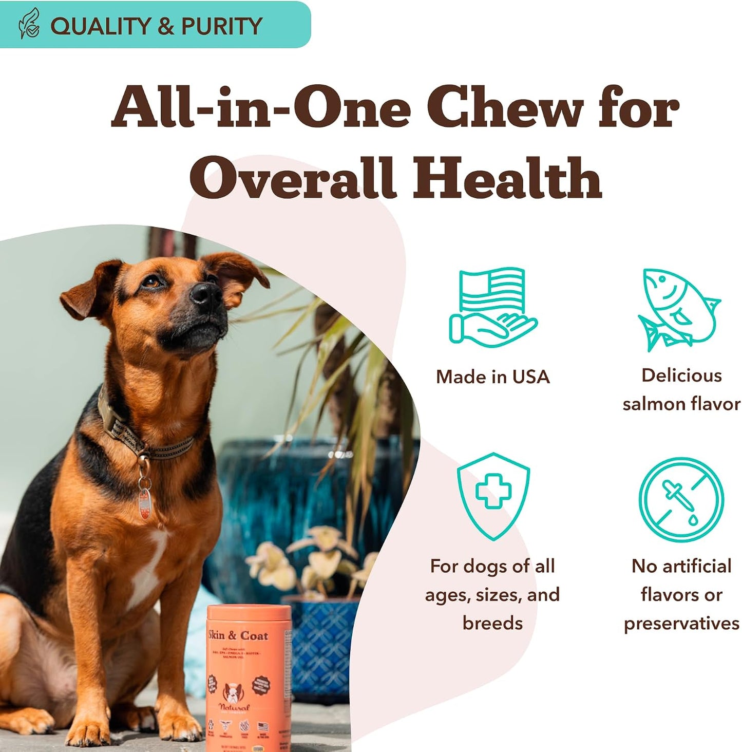 Natural Dog Company Skin & Coat Supplement Chew for Dogs – Omega 3 Salmon Oil, Biotin & Vitamin E, 180 Count - görsel 8