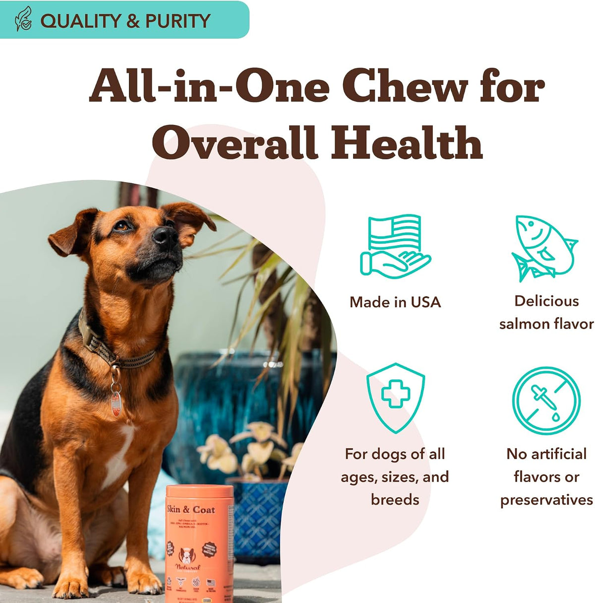 Natural Dog Company Skin & Coat Supplement Chew for Dogs – Omega 3 Salmon Oil, Biotin & Vitamin E, 180 Count - görsel 8