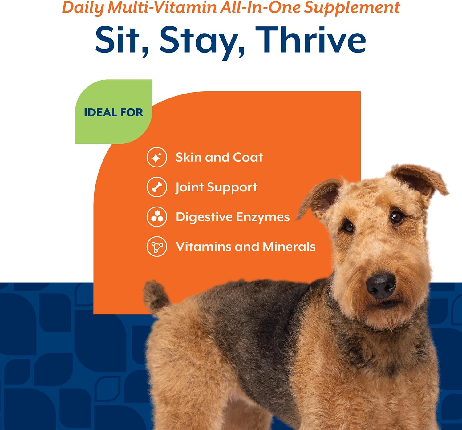 NaturVet All-in-One Dog Supplement - for Joint Support, Digestion, Skin & Coat Care – Dog Multivitamins with Minerals, Omega-3, 6, 9 – Wheat-Free Vitamins for Dogs – 240 Soft Chews - görsel 4