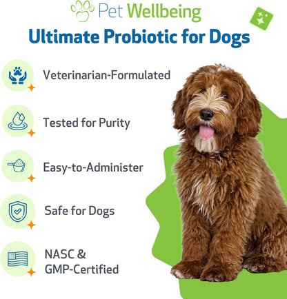 Pet Wellbeing Ultimate Probiotic – 9 Strains for Dogs and Cats, Digestive and Urinary Tract Support, 160g