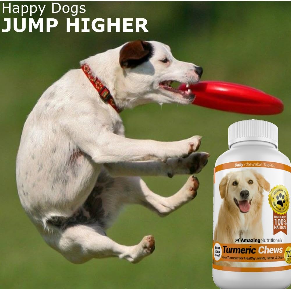 Amazing Turmeric for Dogs Curcumin Pet Antioxidant, 120 Chews - görsel 3