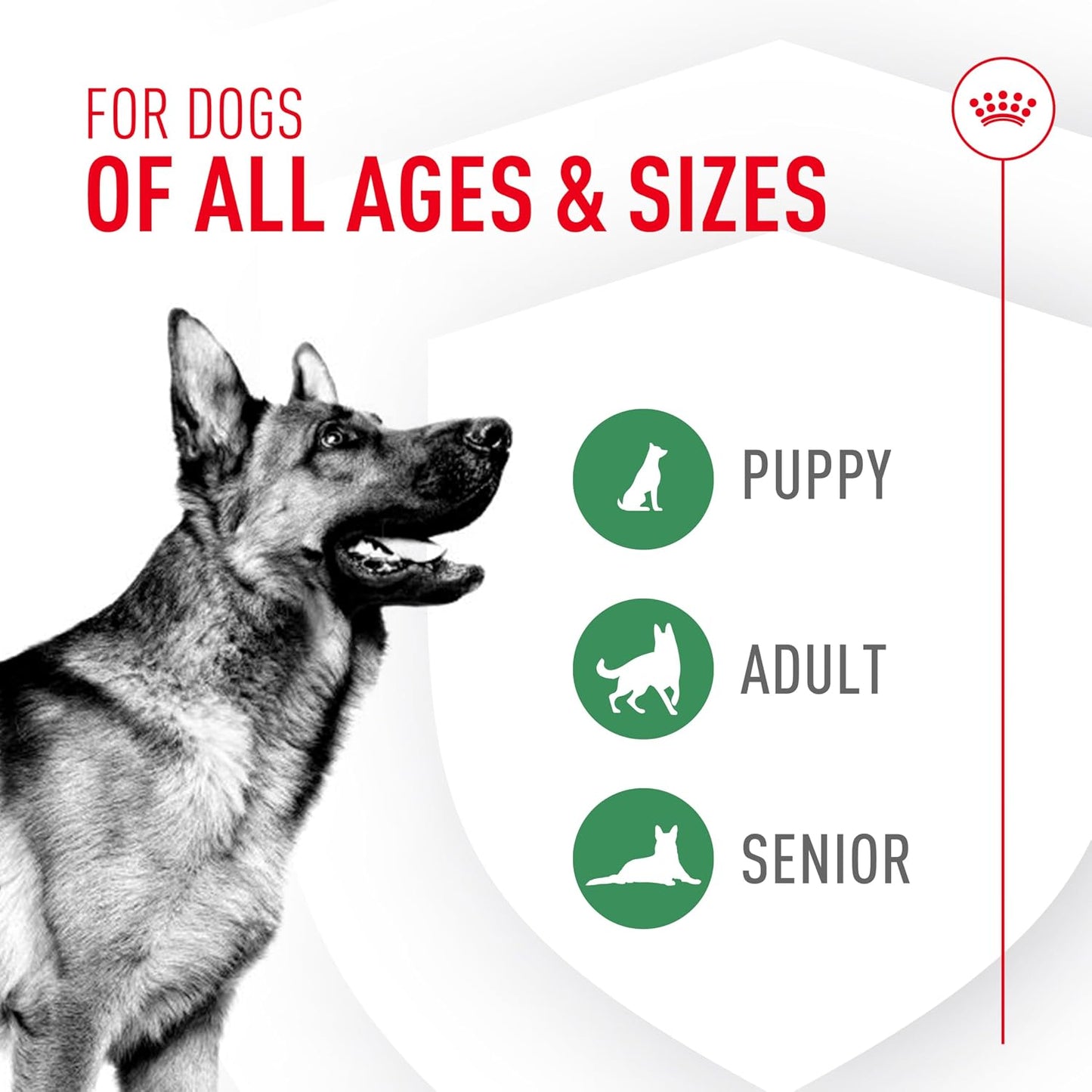 Royal Canin Probiotics for Dogs Digestive and Immune Health Powder Supplement for Dogs of All Ages, 7 Count - görsel 7