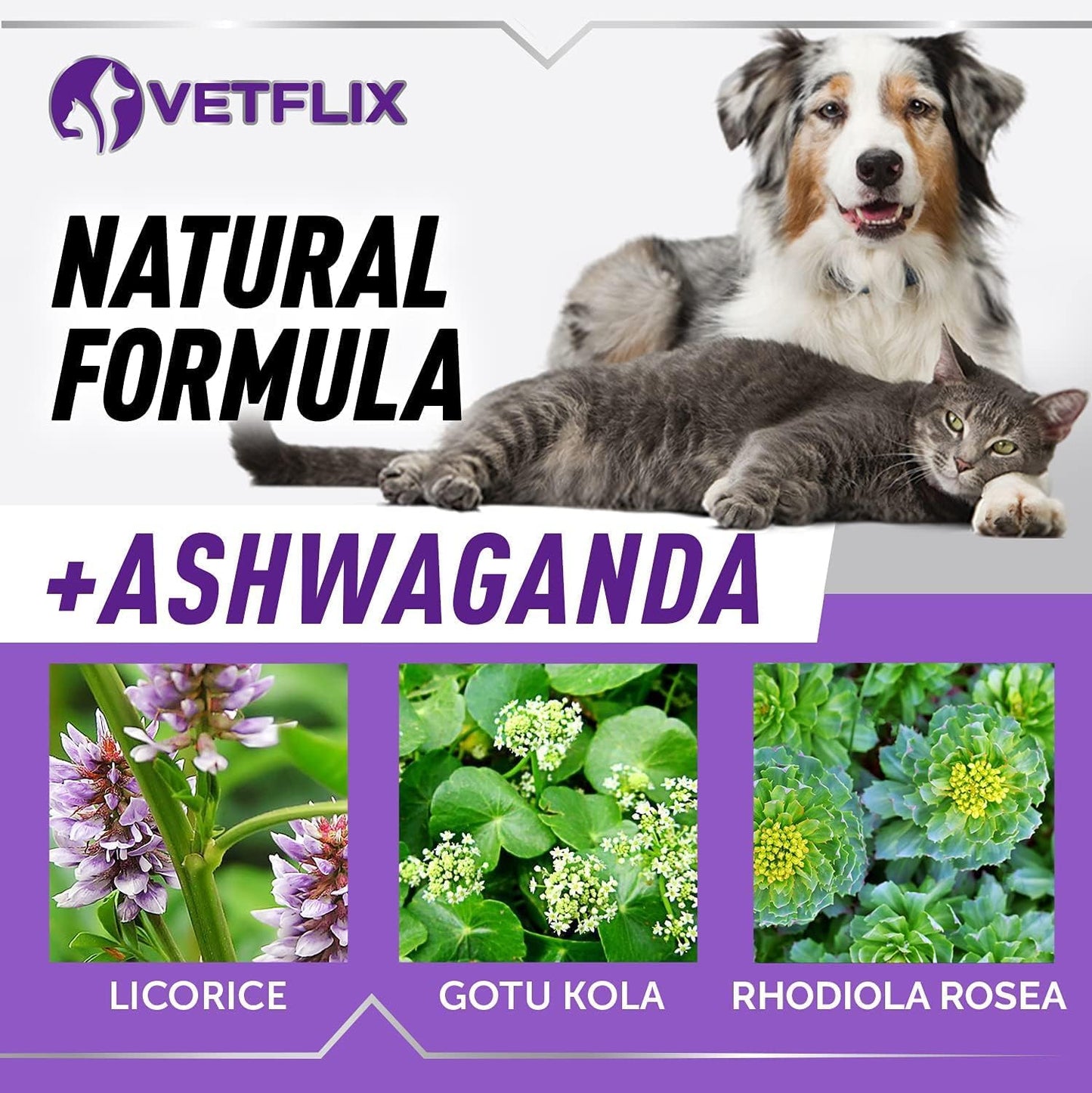 Adrenal Support Liquid Supplement for Dogs, Cats, Puppies and Kittens, 60 ml - görsel 6