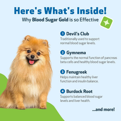 Pet Wellbeing Blood Sugar Gold for Dogs - Holistic Support for Healthy Blood Sugar Levels, Insulin Stabilisation & Normal Pancreatic Function - NASC Certified & Vet-Formulated - 118 ml Liquid