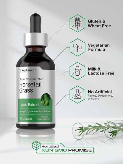 Horbäach Horsetail Herb Liquid Extract – Alcohol-Free, 60 ml
