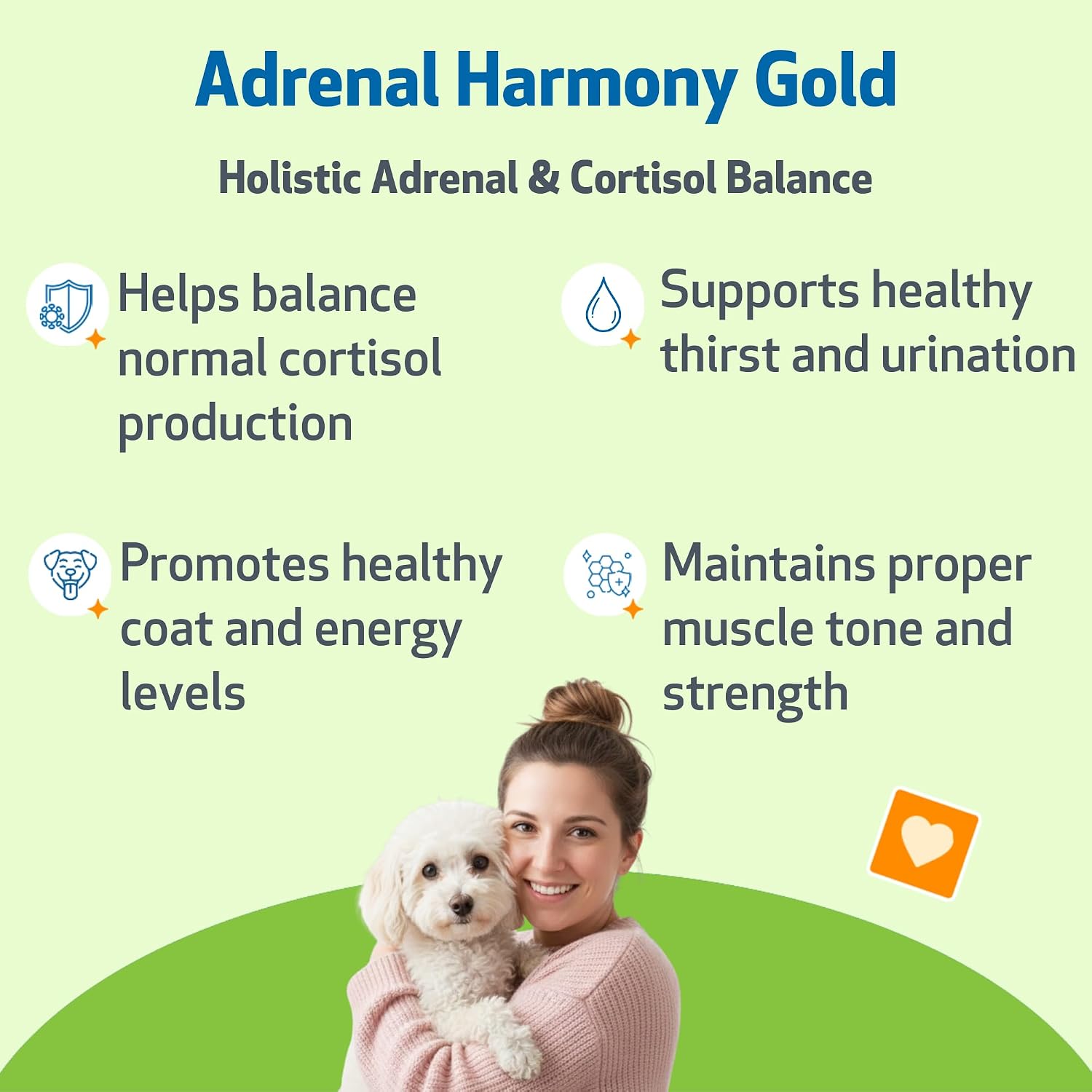Pet Wellbeing Adrenal Harmony Gold for Dogs - Supports Adrenal Function & Normal Cortisol Levels with Ashwagandha & Bacopa - Vet-Formulated & Quality Assured - 60 ml Liquid Formula - görsel 2