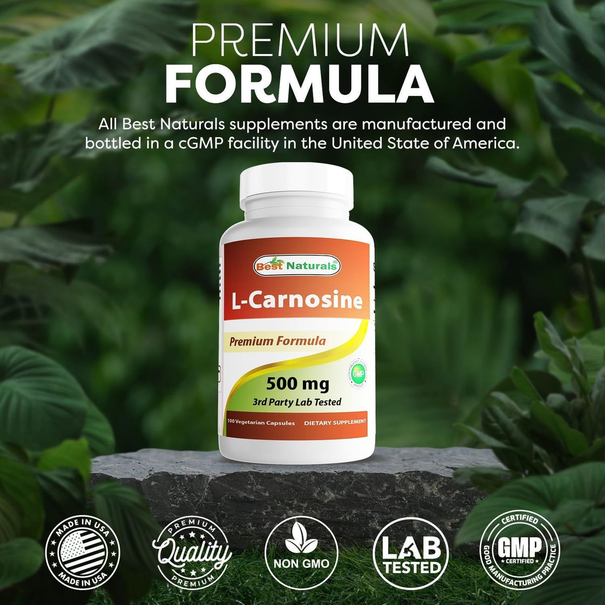 Best Naturals L-Carnosine 500 mg, 100 Vegetarian Capsules - görsel 5