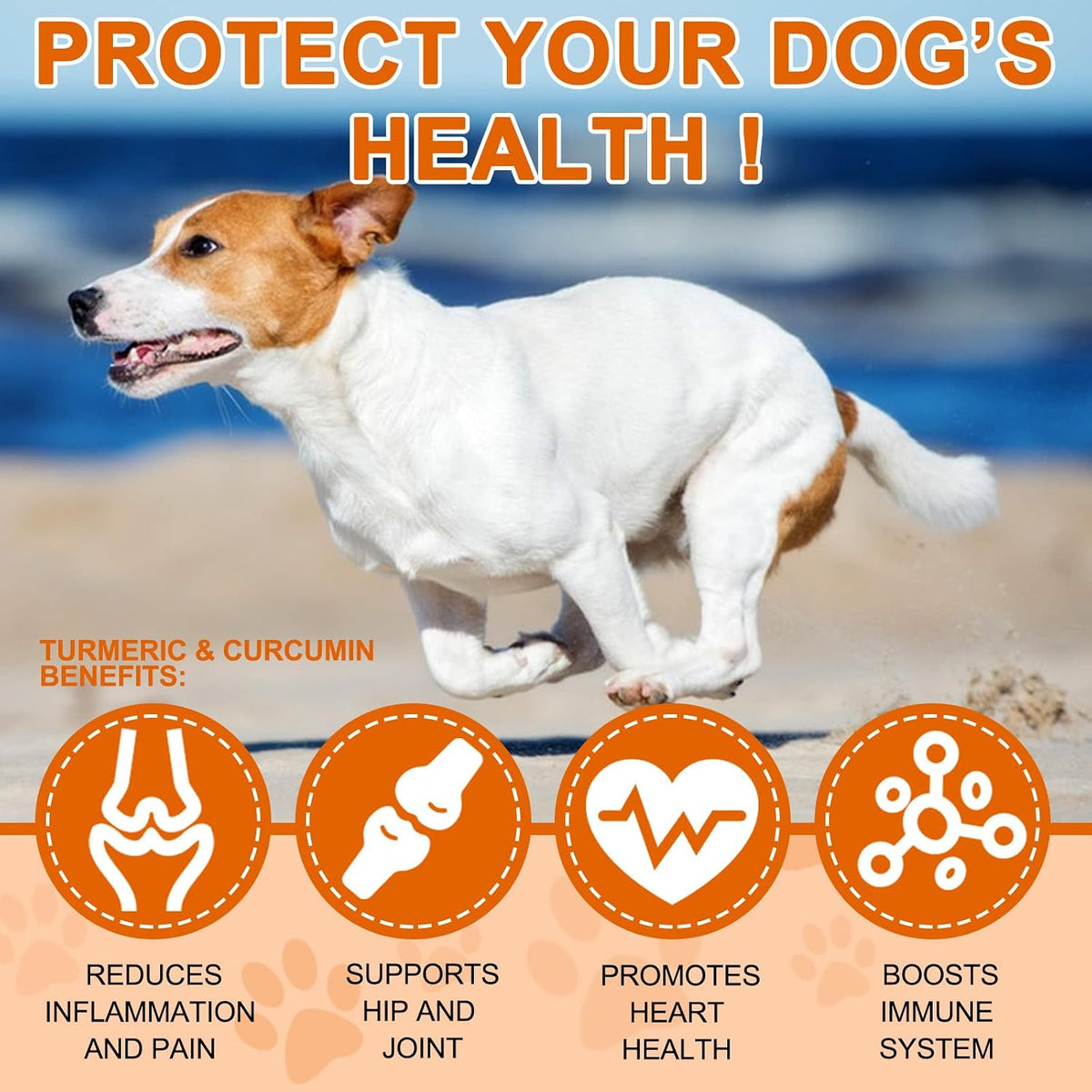 ALIVO Turmeric for Dogs - 180 Turmeric Curcumin Tablets - görsel 5