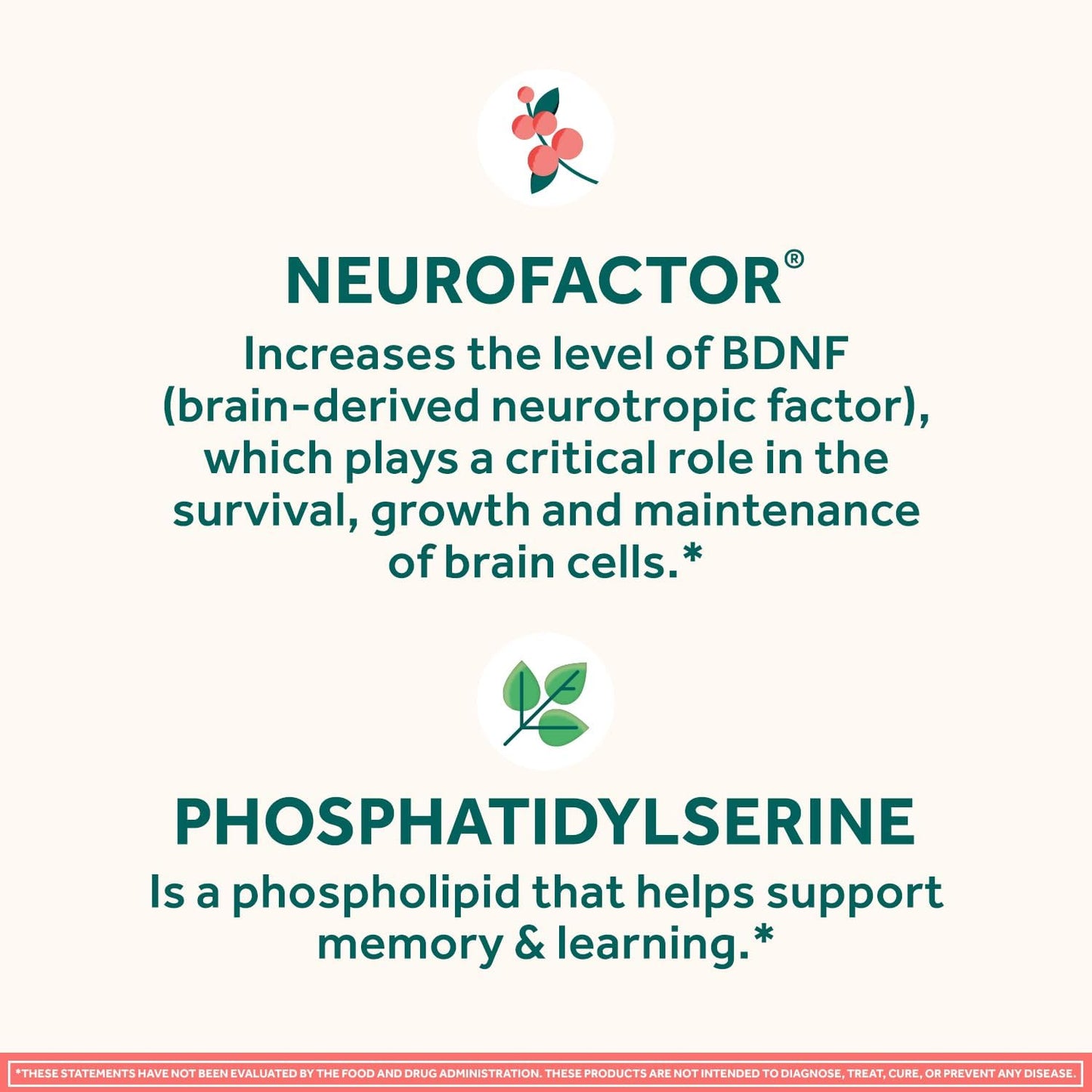 NEURIVA Original Brain Supplement Gummies for Memory, Focus & Concentration, Strawberry, 100 Count (2 Pack) - görsel 4