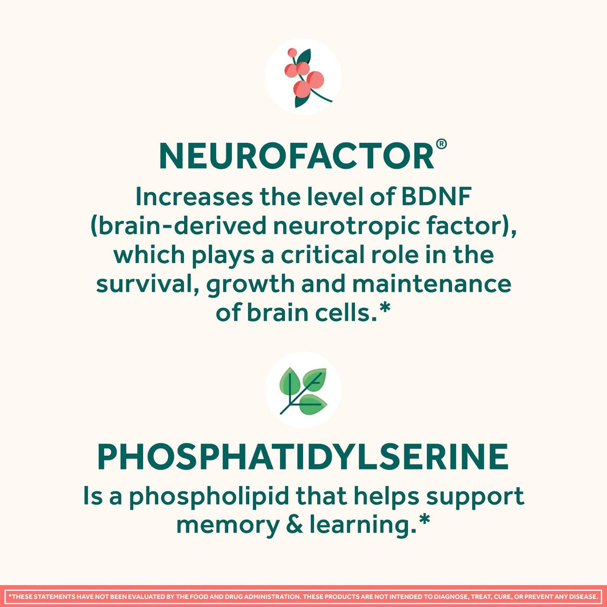 NEURIVA Original Brain Supplement Gummies for Memory, Focus & Concentration, Strawberry, 100 Count (2 Pack) - görsel 4