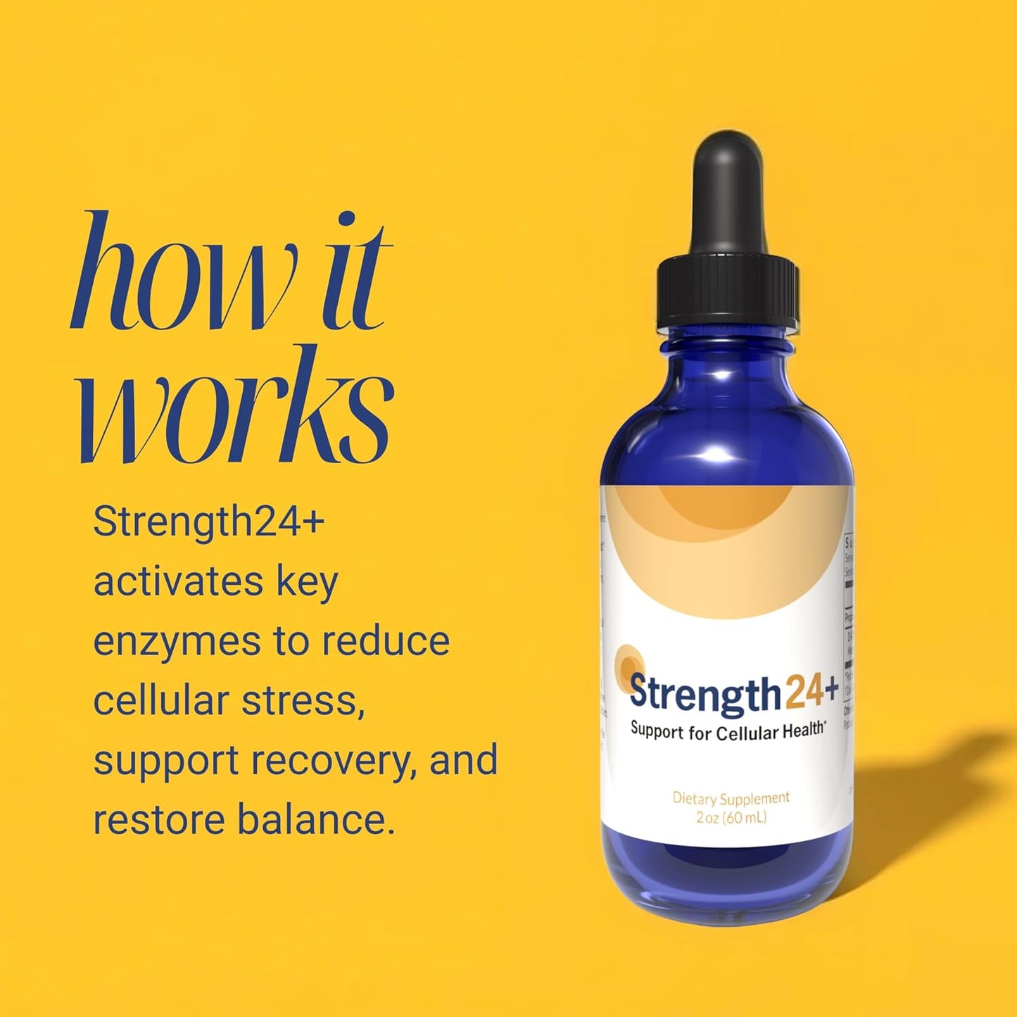 Strength24+ Vitality Drops - Bladder Control, Cellular Health & Energy Support, 60 Servings (1 Month Supply) - görsel 2