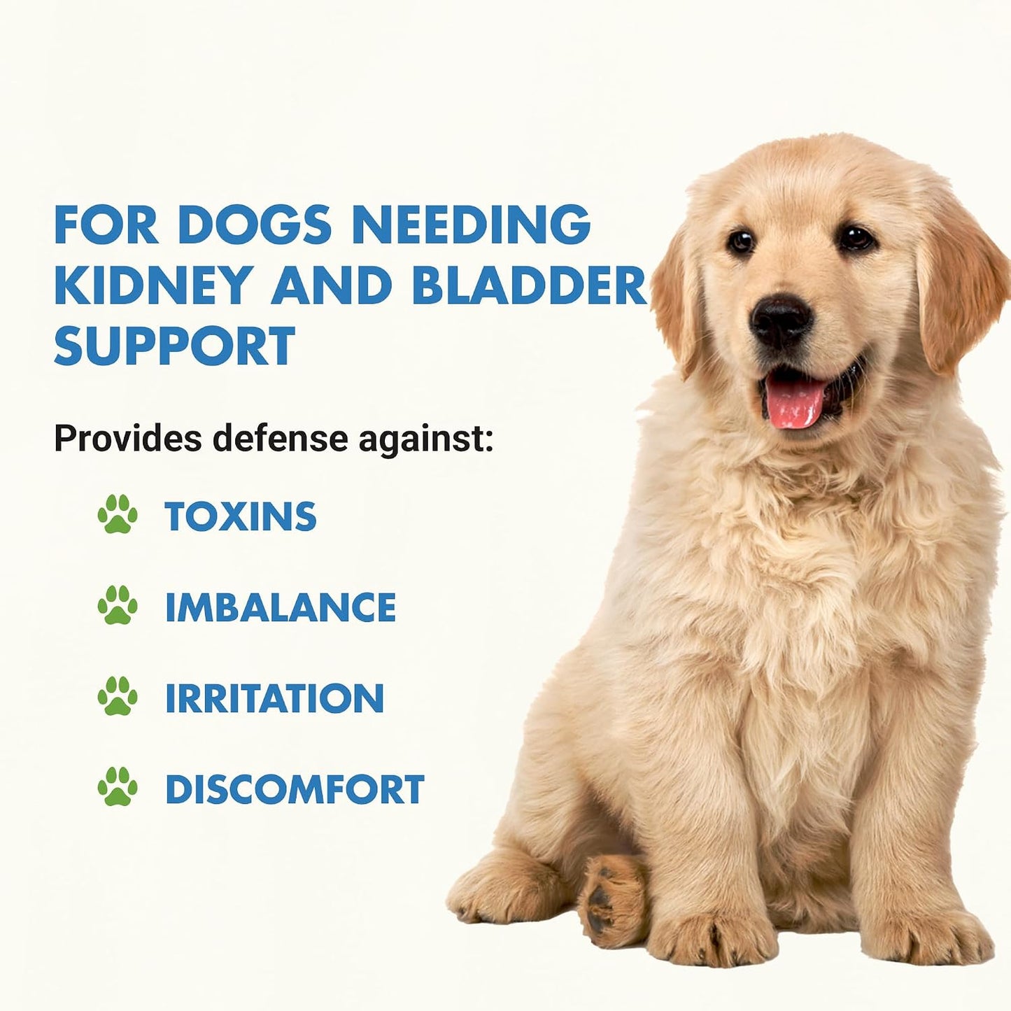 Premium Easy-Dose Liquid for Dogs with Cranberry & D-Mannose: Comprehensive Kidney & Bladder Support - görsel 2