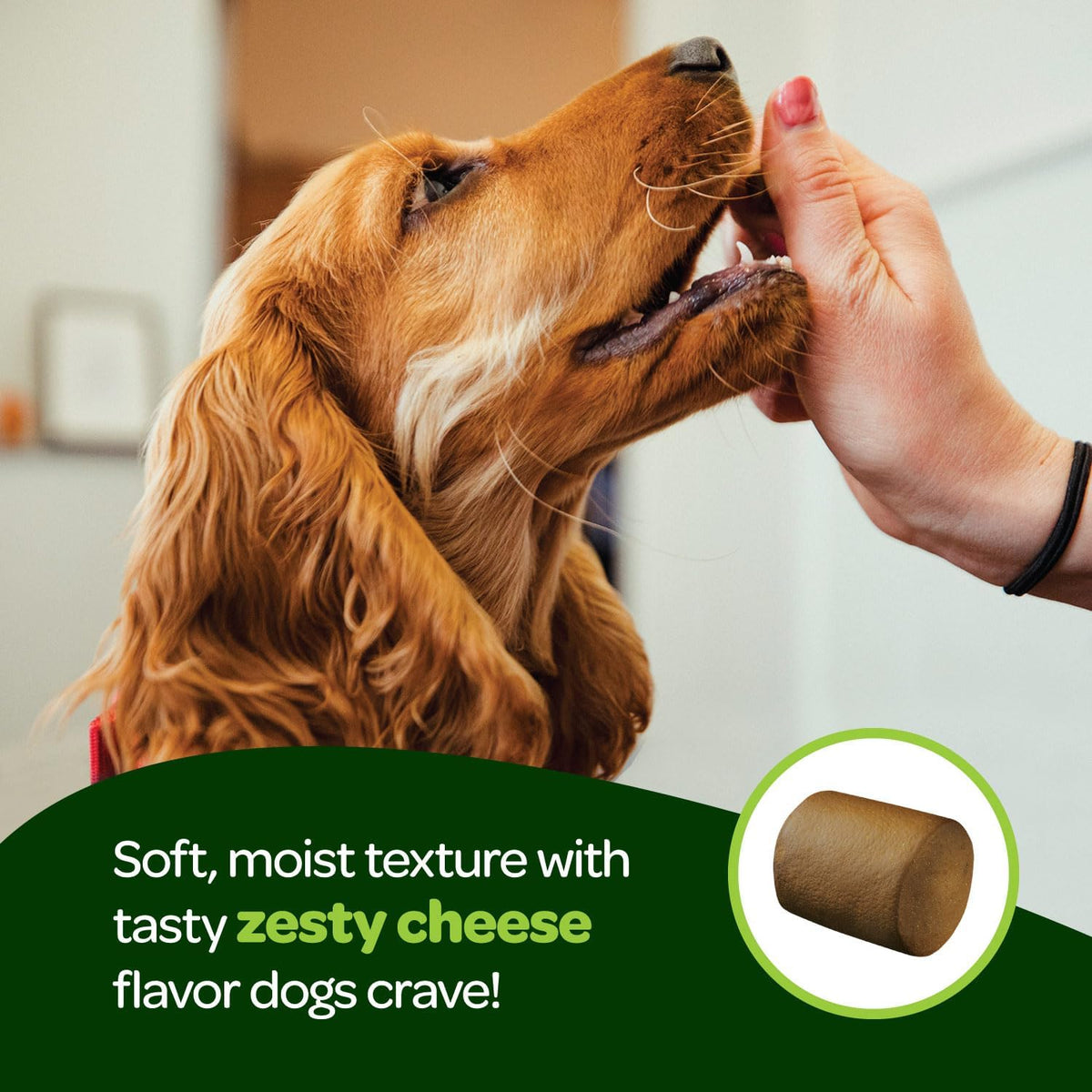 Ready Pet Go! Probiotic Chews for Dogs' Gut Health - Prebiotics and Digestive Enzymes, NASC Certified, 60 Chews - görsel 7