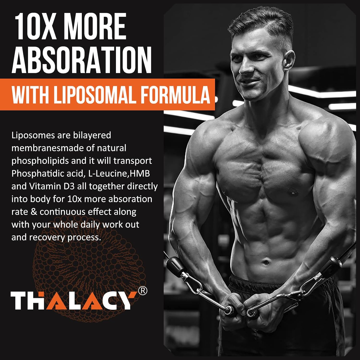 Thalacy 2000mg Liposomal Phosphatidic Acid Muscle Builder - 10 Pack - görsel 6