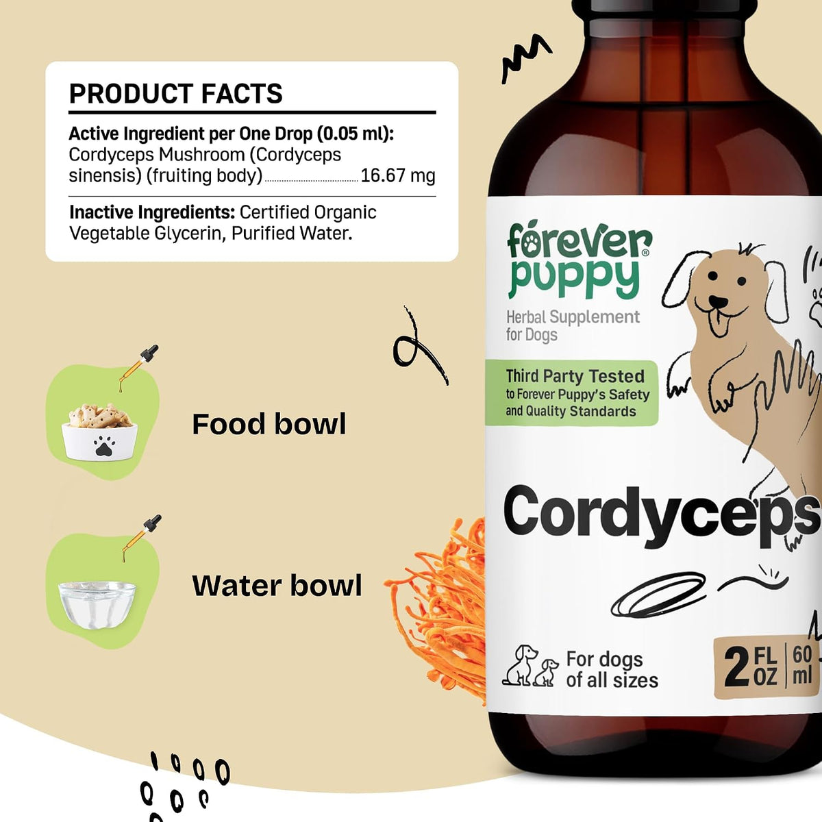 Cordyceps Mushroom Tincture for Dogs – Energy Support Supplement with Cordyceps Sinensis Extract for Kidney Cleanse – Mushroom Drops for Dogs' Canine Kidney Health Support – 60 ml - görsel 3