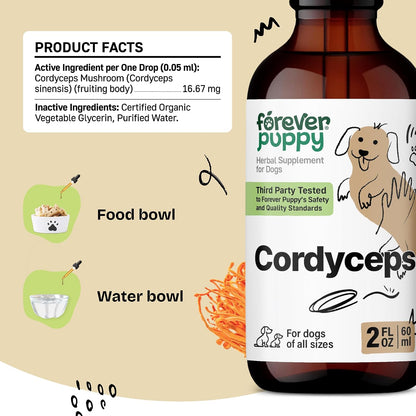 Cordyceps Mushroom Tincture for Dogs – Energy Support Supplement with Cordyceps Sinensis Extract for Kidney Cleanse – Mushroom Drops for Dogs' Canine Kidney Health Support – 60 ml