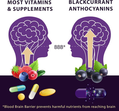 Vision Smart Supreme - Premium Eye Supplement with Blackcurrant Anthocyanins