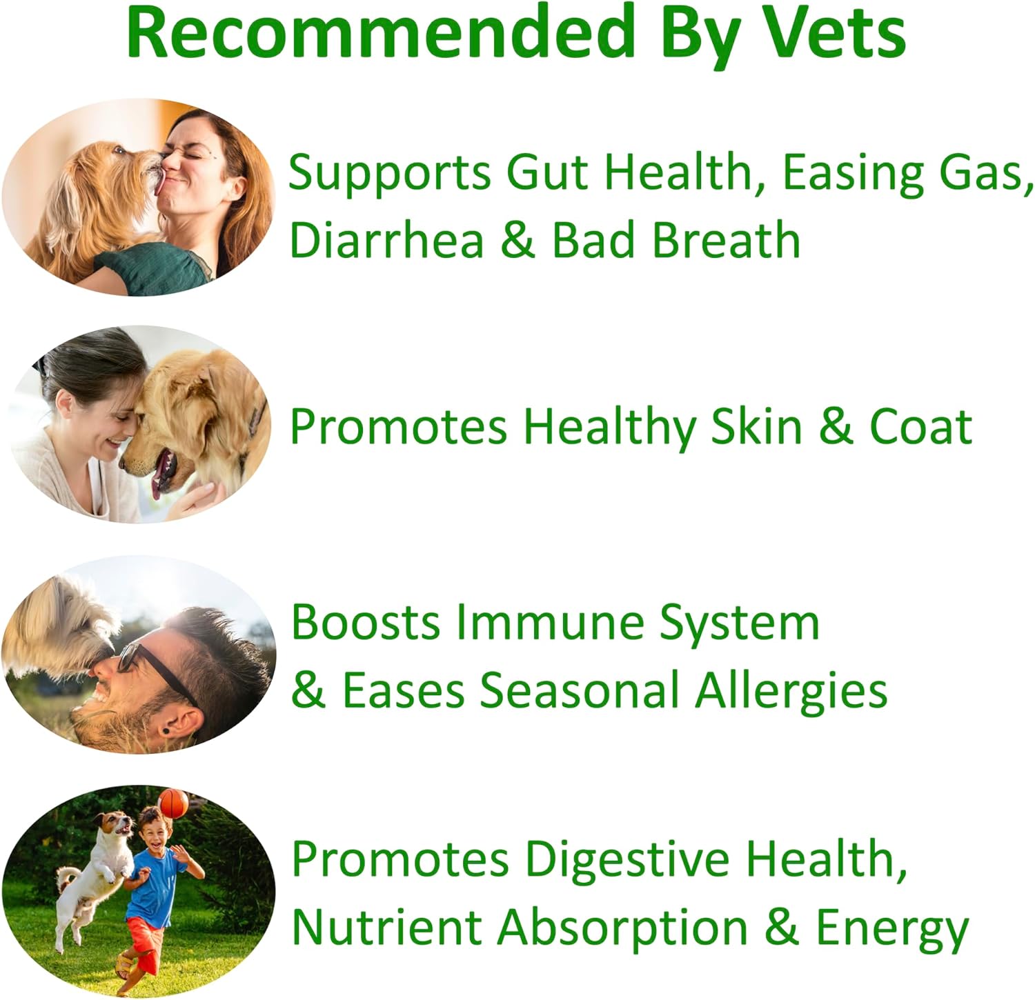 TummyWorks Probiotics for Dogs – 120 Soft Chews for Digestive Health & Immunity - görsel 3
